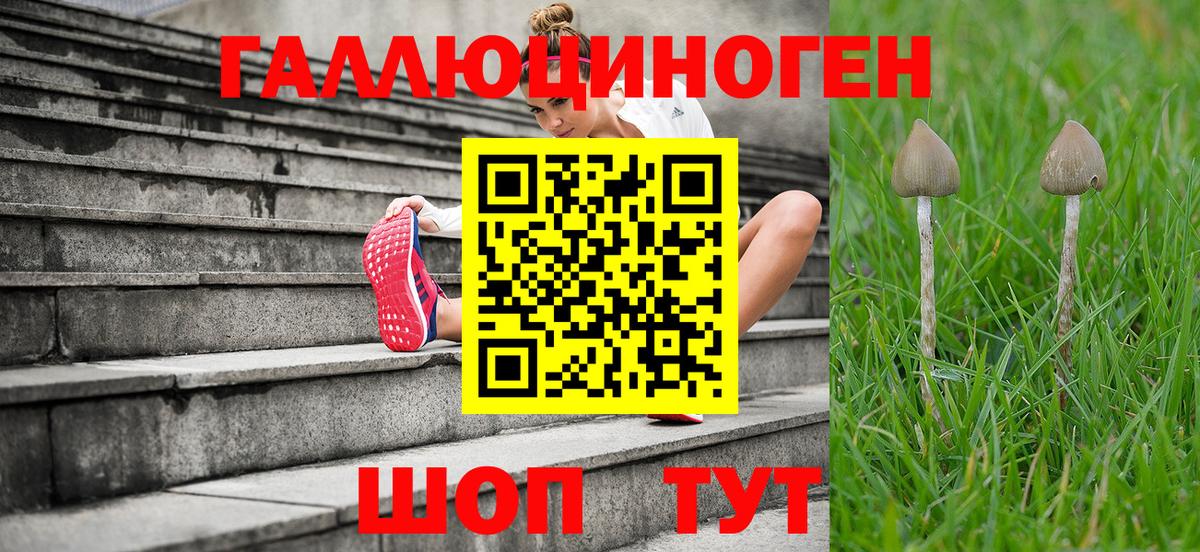Галлюциногенные грибы MAGIC MUSHROOMS  Вход с VPN  Миасс 